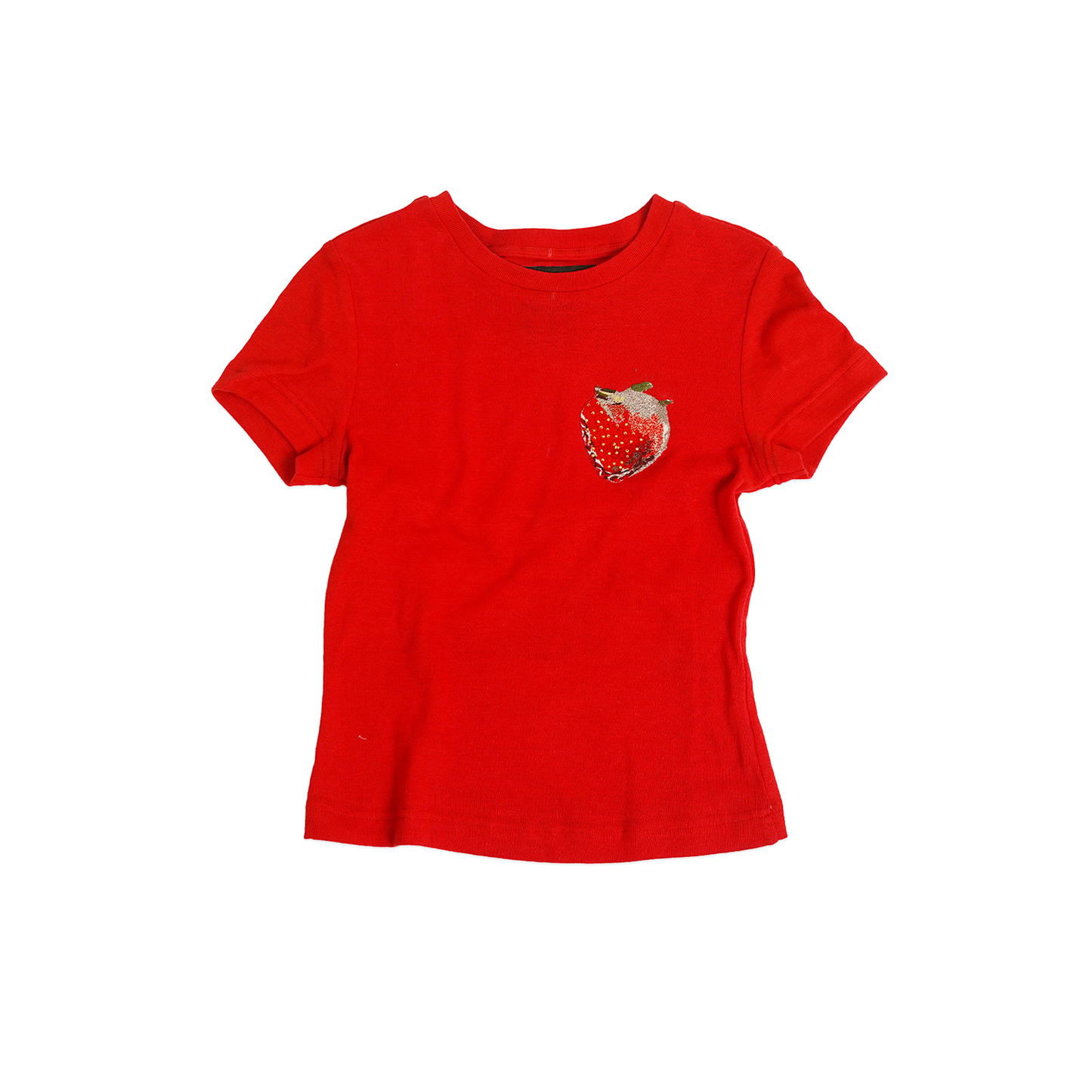 Embroidered Fitted T-shirt (Red)