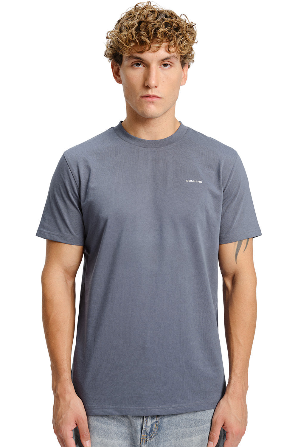 Glacier Grey Supima Regular Fit T-shirtÂ