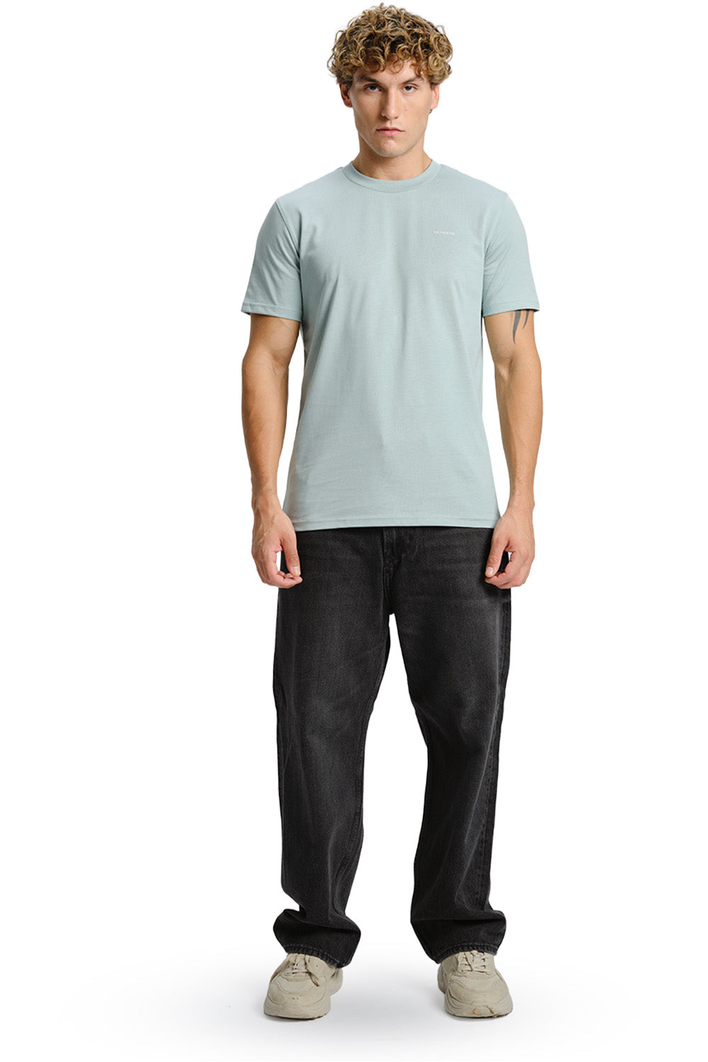 Sage Green Supima Regular Fit T-shirt