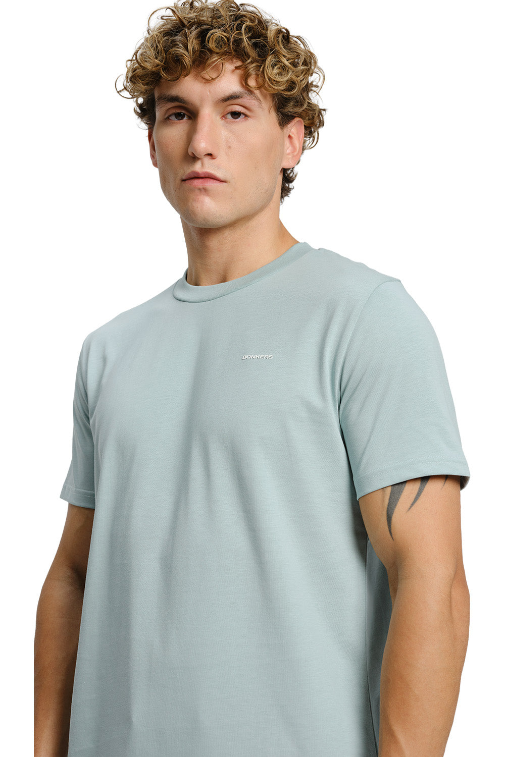 Sage Green Supima Regular Fit T-shirt