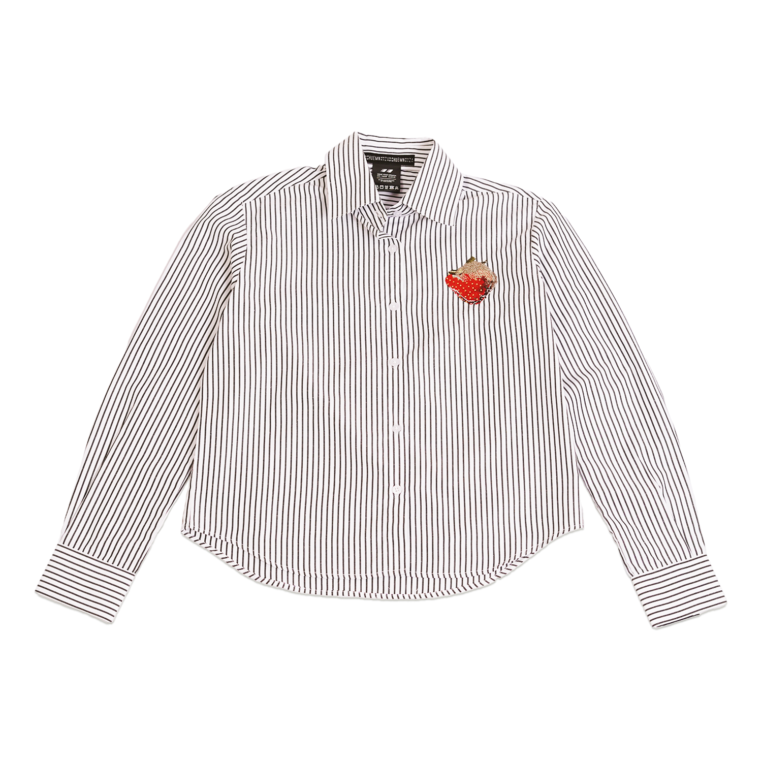 Pinstriped embroidered shirt