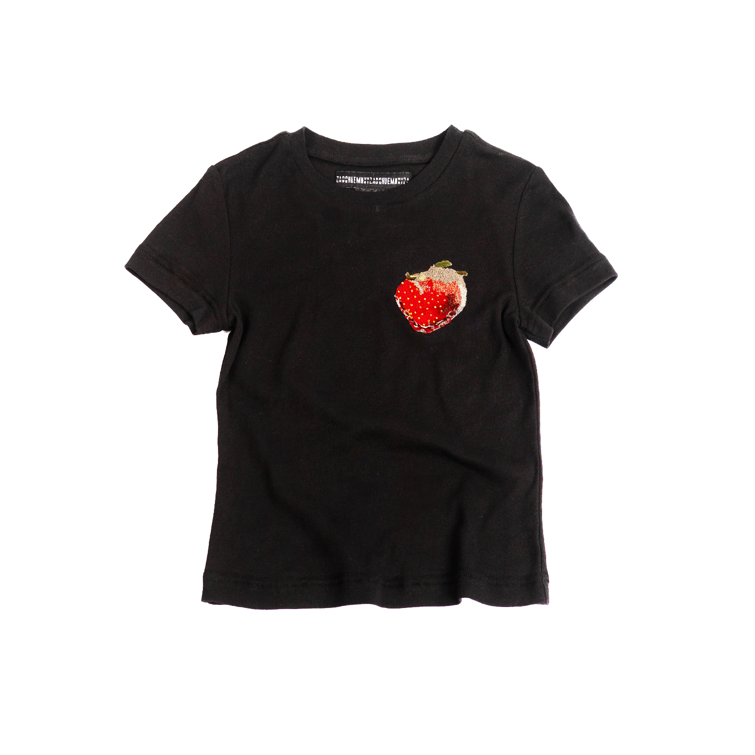 Embroidered Fitted T-shirt (Black)