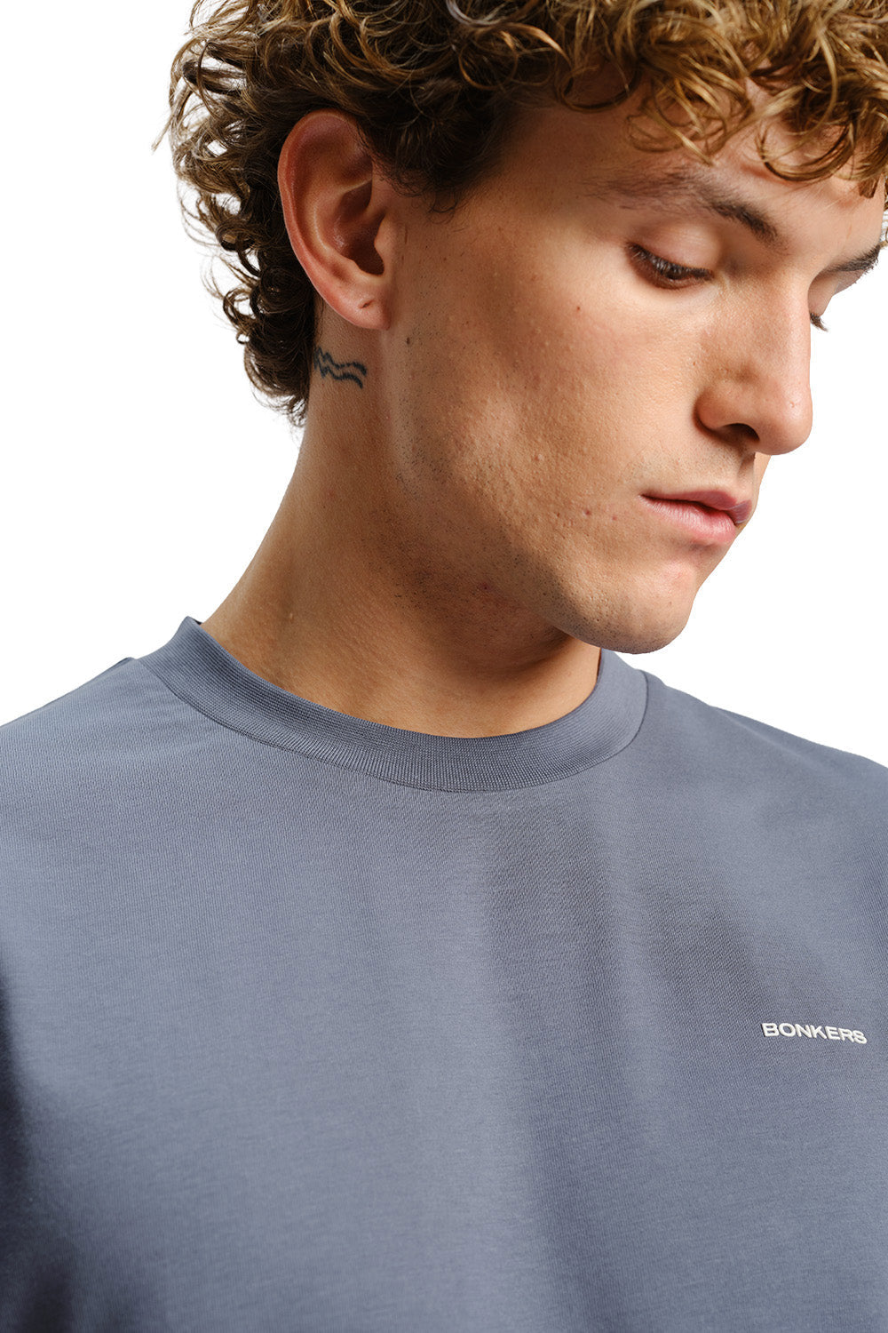 Glacier Grey Supima Regular Fit T-shirtÂ 