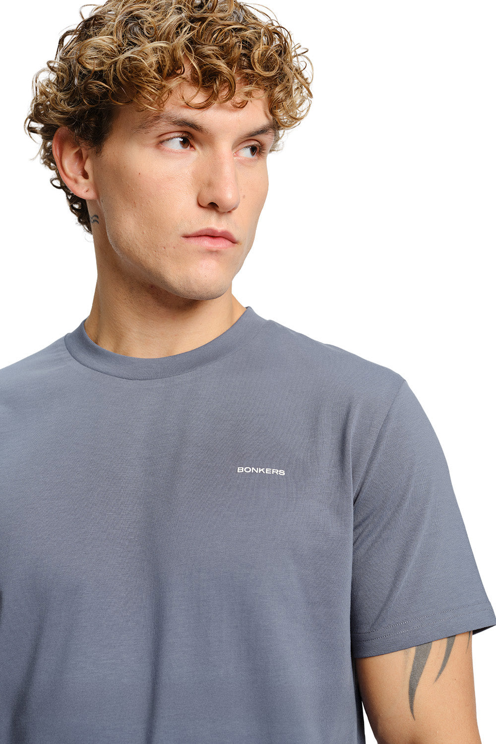 Glacier Grey Supima Regular Fit T-shirtÂ 