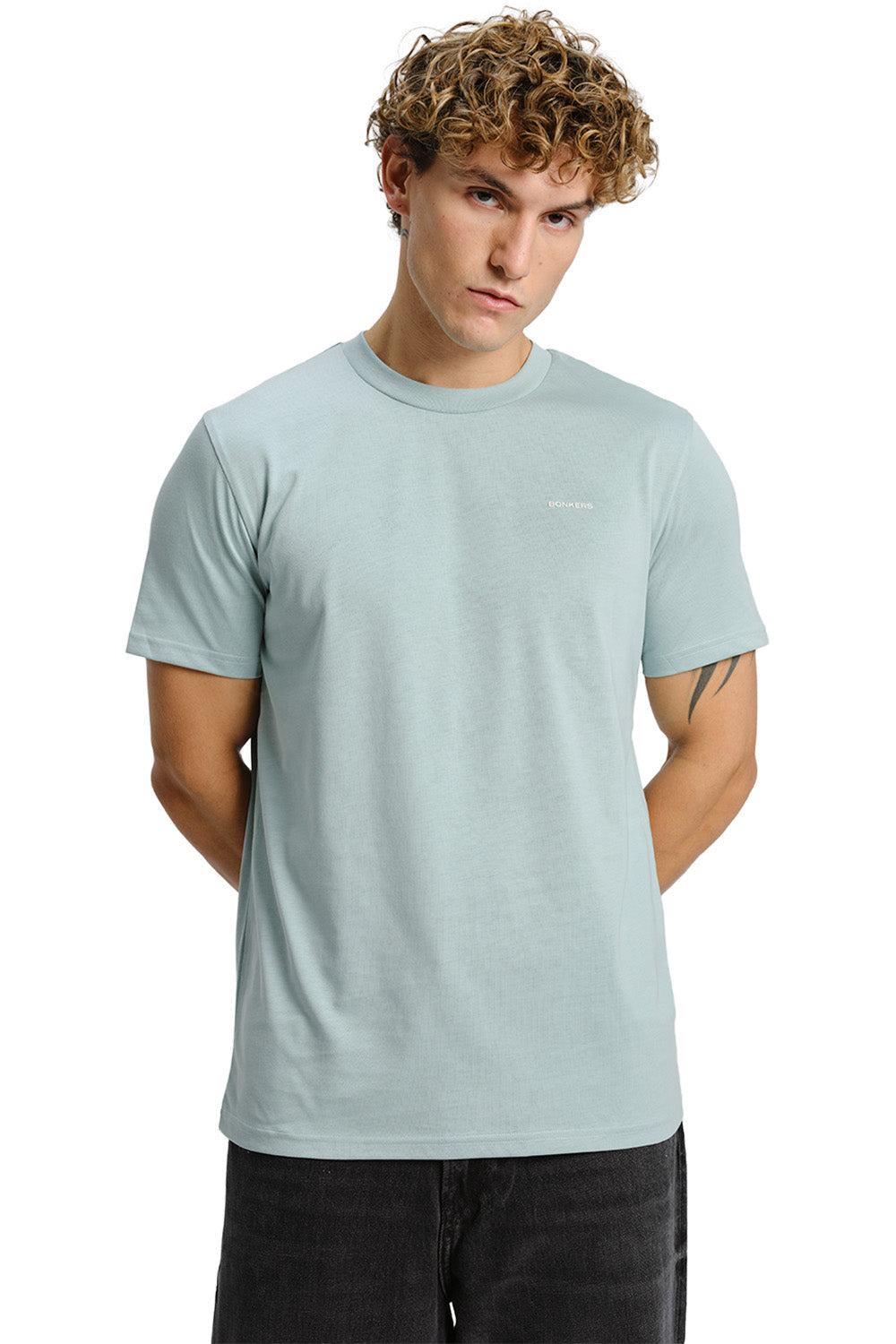 Sage Green Supima Regular Fit T-shirt