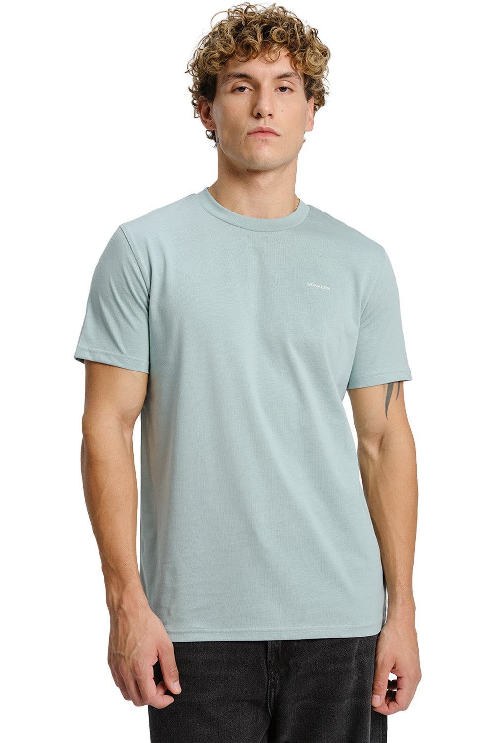 Sage Green Supima Regular Fit T-shirt