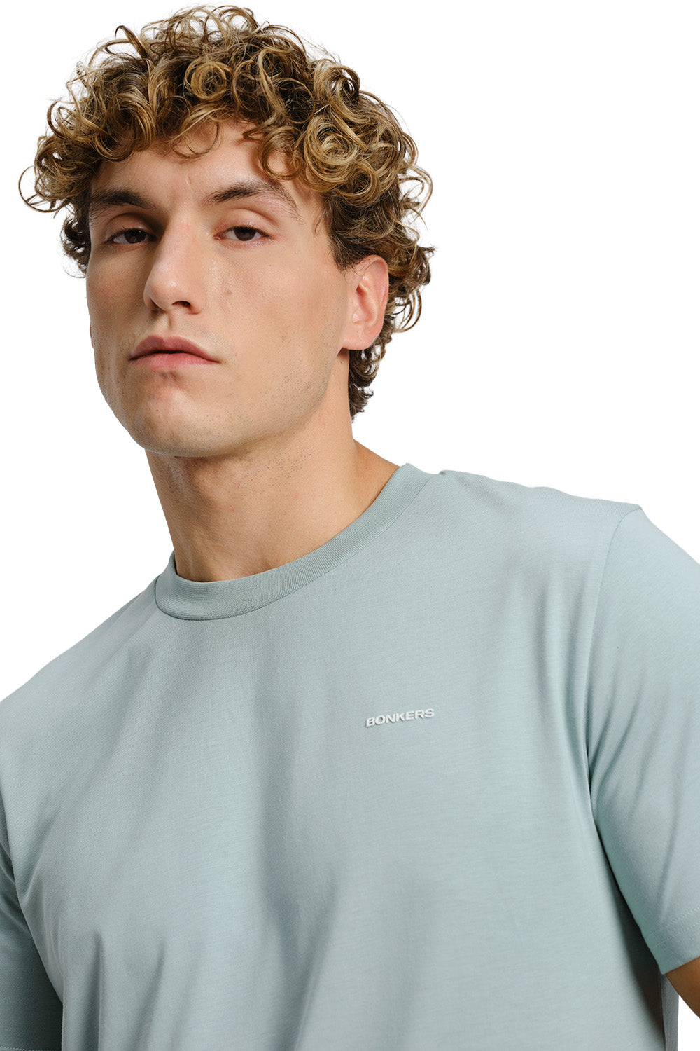 Sage Green Supima Regular Fit T-shirt