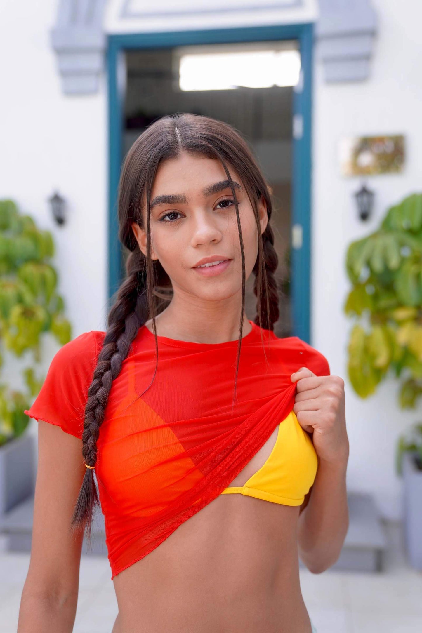 Red Mesh Half Sleeves Crop Top