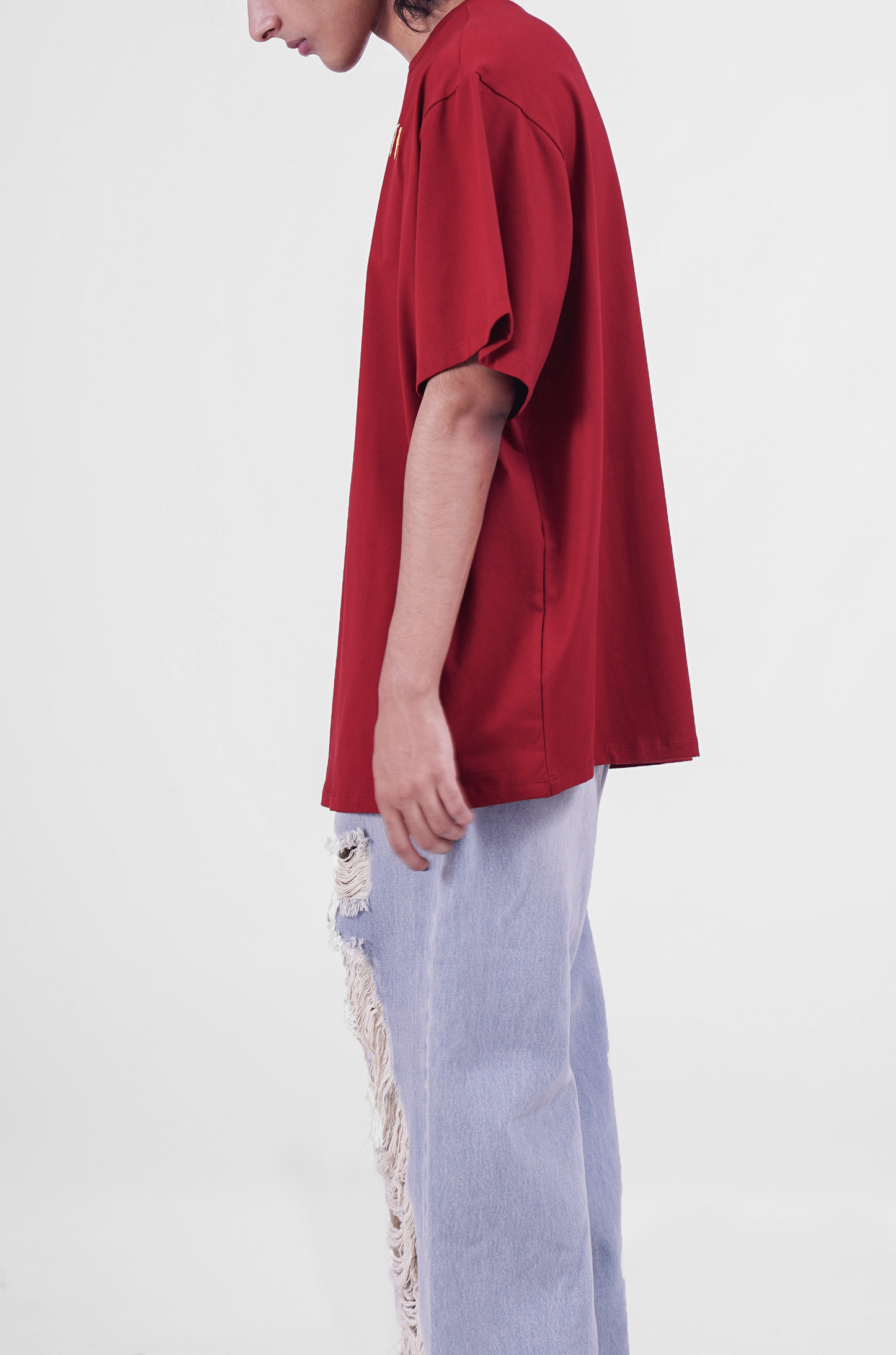 Question Everything (Maroon)