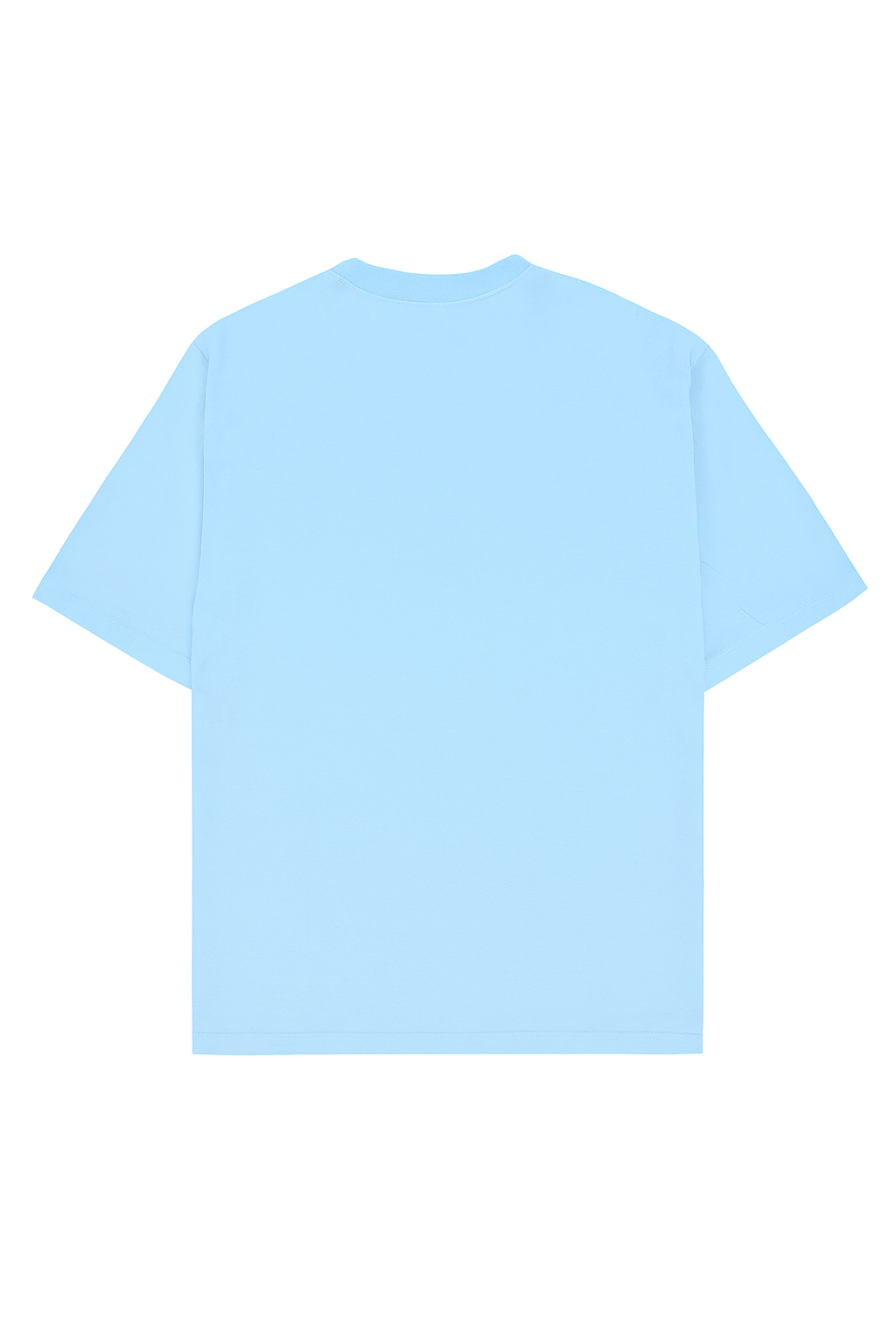 Sk8tr Cat Oversized Tee